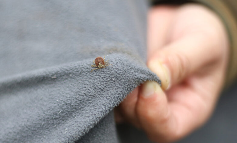 Effective Liquid Solutions to Keep Ticks Away