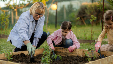 How to Build Durable Raised Garden Beds Without Wood or Metal